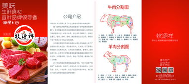 高效傳播的藝術 從產品手冊到折頁廣告的全鏈條廣告代理解決方案